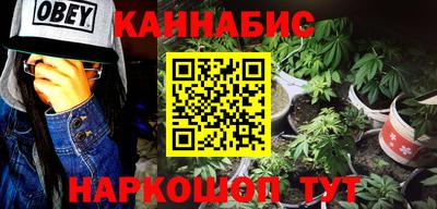 индика Вышний Волочёк