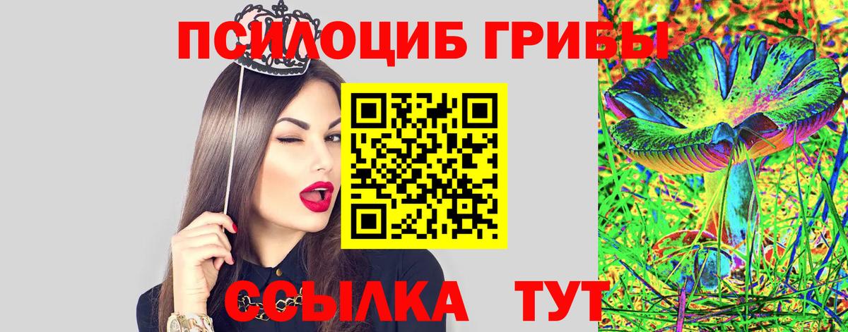 Псилоцибиновые грибы прущие грибы Губкин