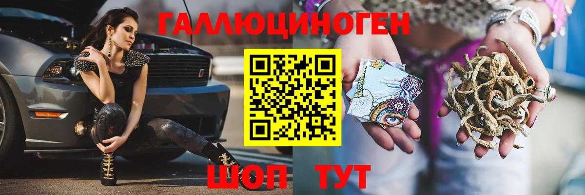 Губкин  Галлюциногенные грибы Cubensis  Галлюциногенные грибы Psilocybine cubensis  Вход с VPN 